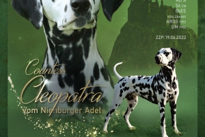 Countess-Cleopatra-vom-Nienburger-Adel_2