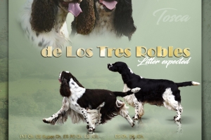 Los-Tres-Robles