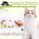Website: Uetersener Klosterkatzen - Norwegische Waldkatzen