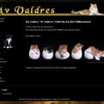 Website: Av Valdres - Norwegische WaldkatzenWebsite Av Valdres