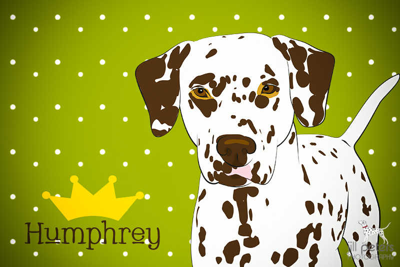 Humphrey, mein kleiner Prinz ;)
