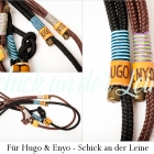 Für Hugo & Enyo