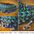 Mint loves lilac - Set