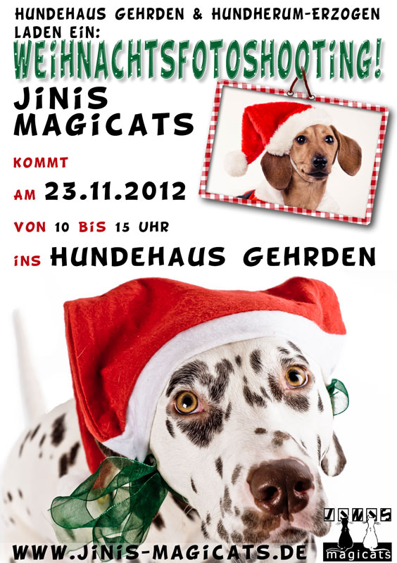 Weihnachtshundefotoshootingaktion