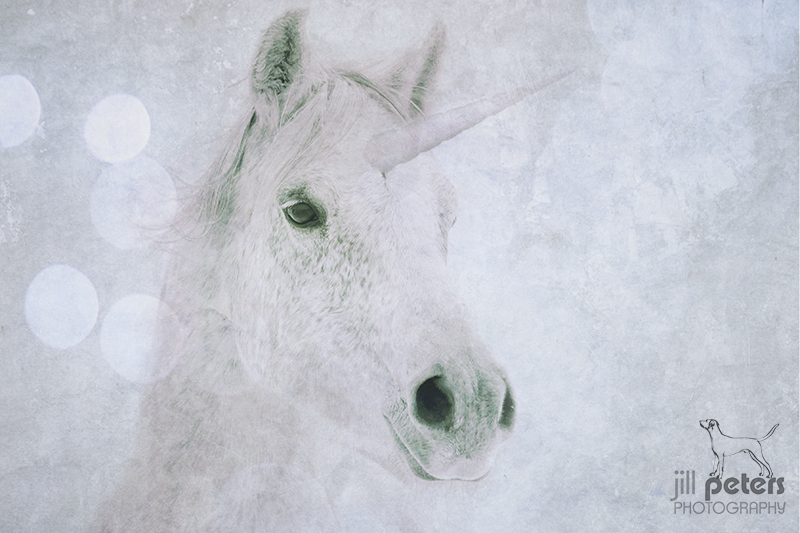 Einhorn Cia