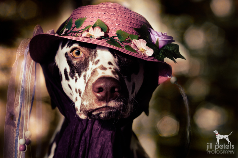 Leeloo mit Hut Lady Leeloo im Frühlingslook.