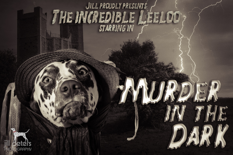 Murder in the Dark Murder in the Dark