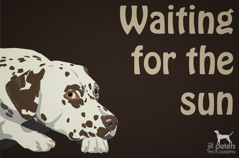 Illustrator: liegender Dalmatiner