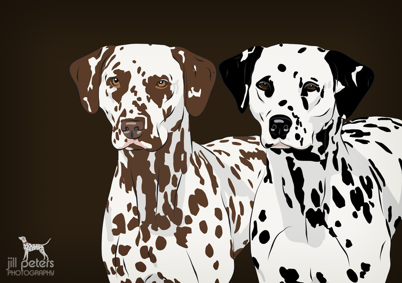 Illustration Dalmatiner