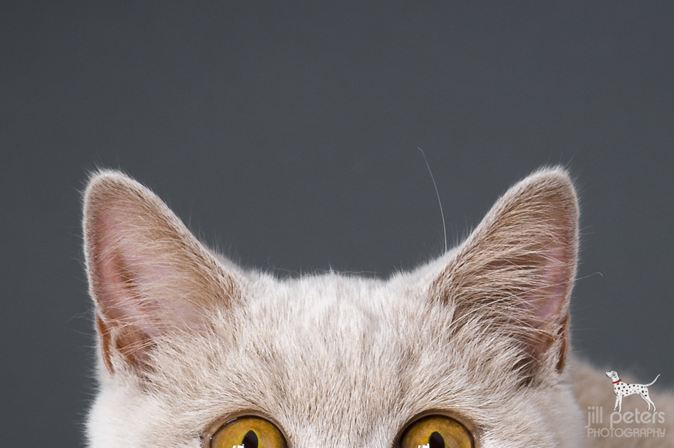 20130915_bkh_12730_web