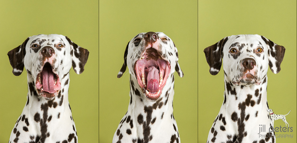 Das Wort zum Sonntag