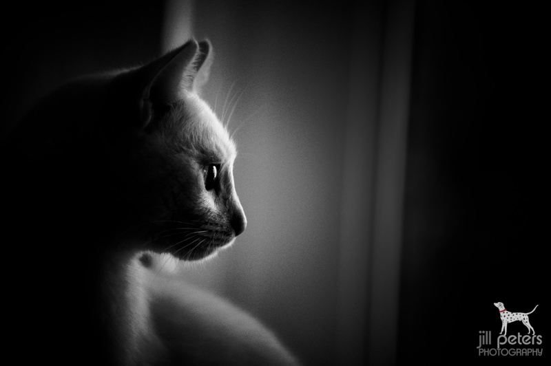 Altes Jahr, neues Jahr