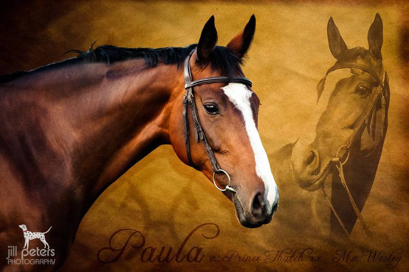 Fotocomposing "Paula"